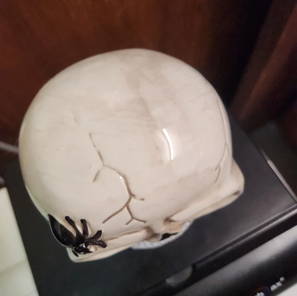 N/A halloween skull